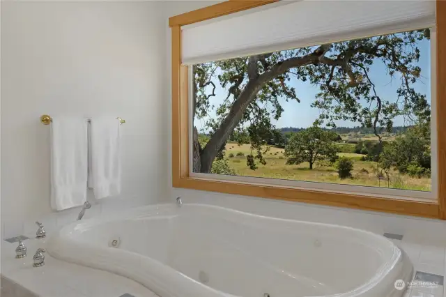 Soak while soaking in the view!