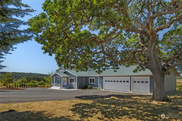 Grand Garry Oak trees welcome you home.