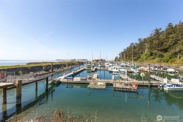 CG Marina
