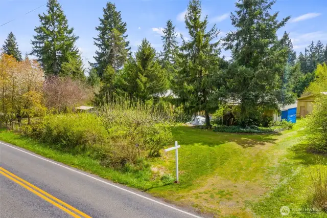 View of property looking South East. Multiple fruit bearing trees line the 164 feet of property along 123rd Ave SE.