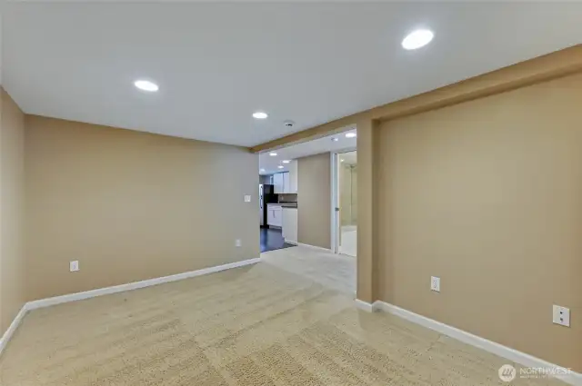 Bonus room in basement