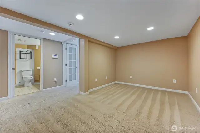 bonus room in basement