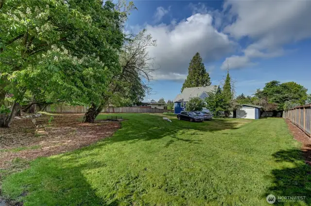 Spacious backyard
