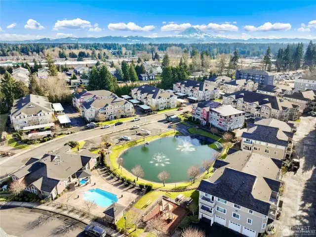 Gorgeous community in the heart of South Hill