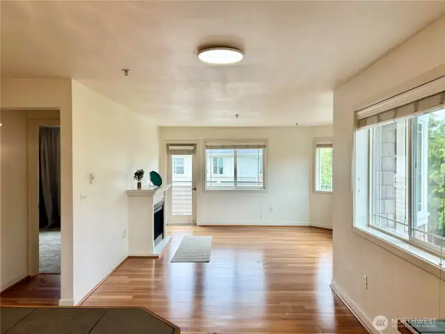 Living room view off kitchen.