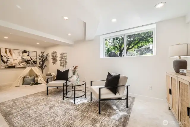 Downstairs Rec Area or Den