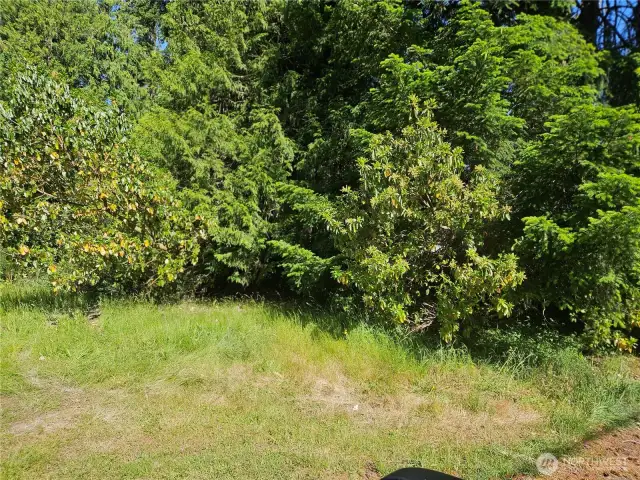 Heavily wooded and heavy brush at road, east and western boundaries flagged with approx. property line.  Property to shouth is fenced.  North Property line is by Communication tower,  This photo is represtnative of what you see from Labrador lane looking east