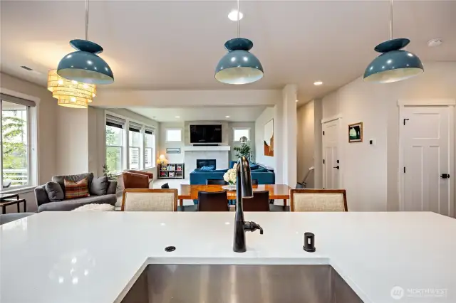 Kitchen overlooking greenroom