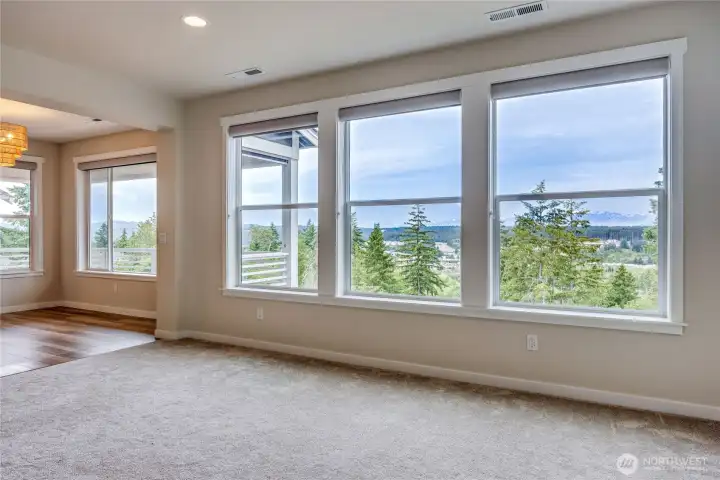 Living room views, custom blinds