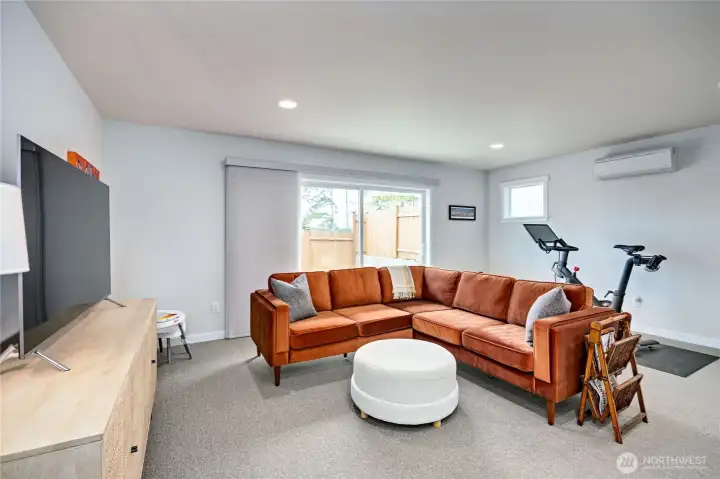 Basement living room