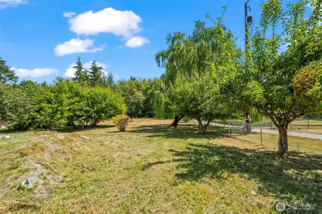 Fruit Trees
