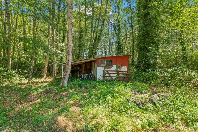 Shed in the back of lot