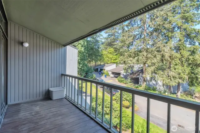 some lake views from living area