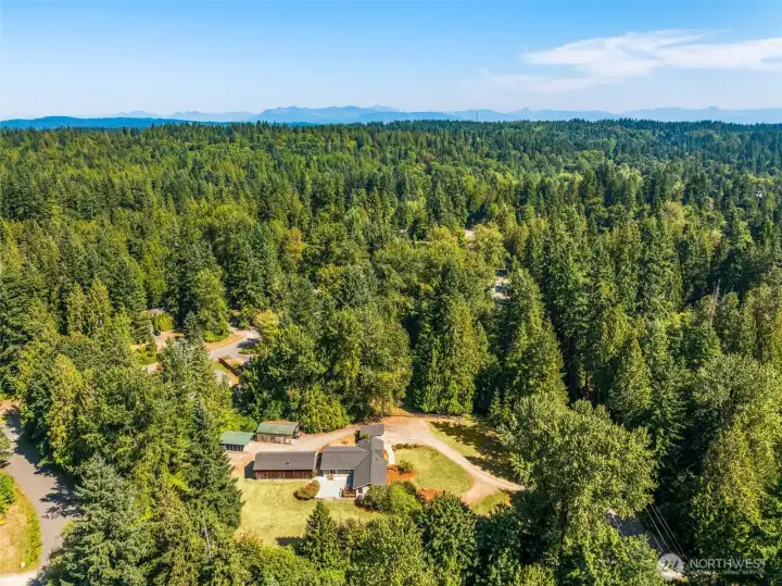 1.37 acres!