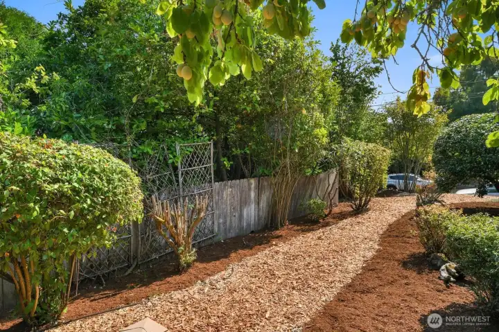 Side Yard off of Deck