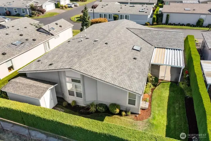 Aerial of back