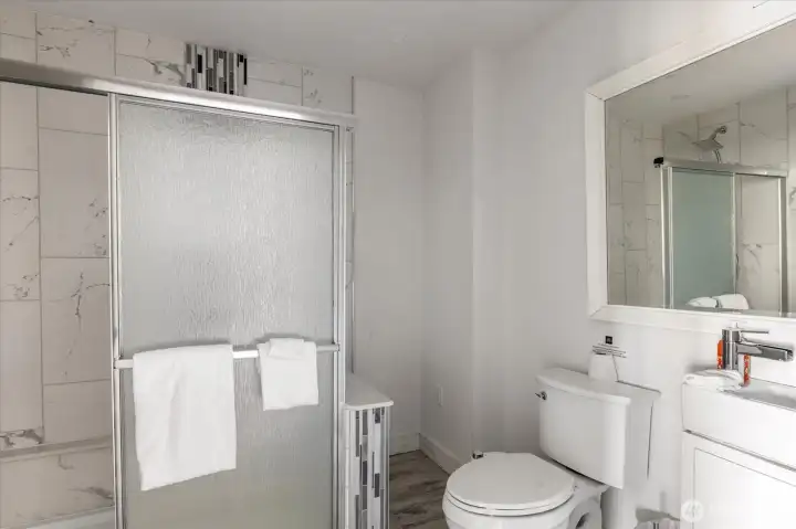 Lower Level Bath