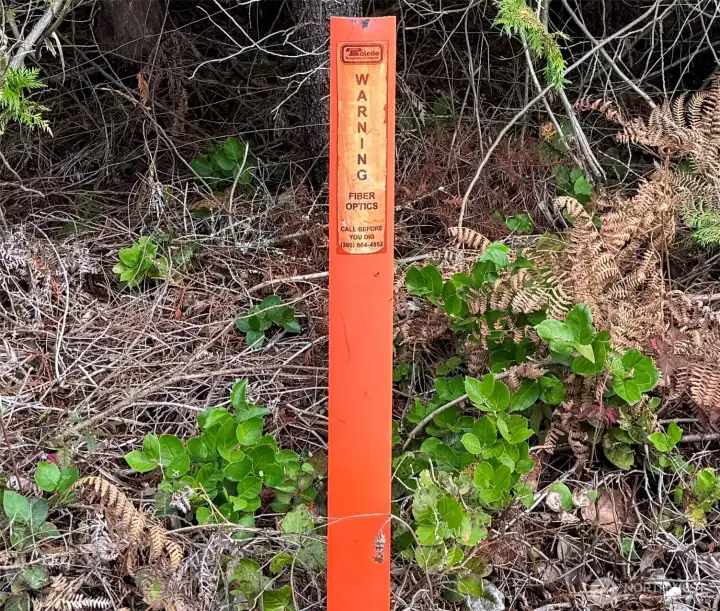 Fiber optics are buried along the western boundary of property facing Boone Road.