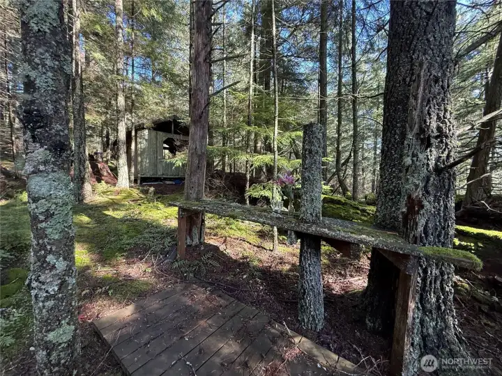 Bridge and rest spot for enjoying the views and serenity of the forest