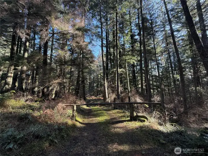 Privacy "gate" off Peregrine leading to property