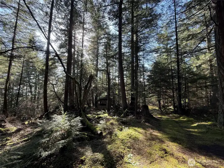 Developed and maintained trails throughout the property.