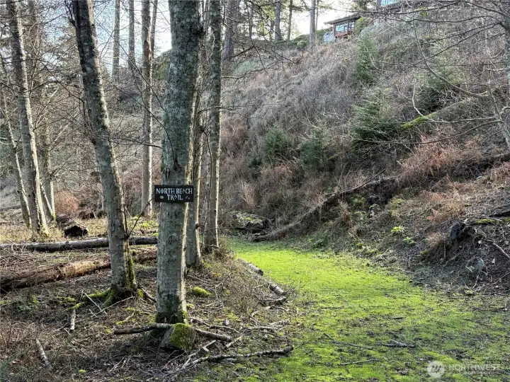 Path to community beach