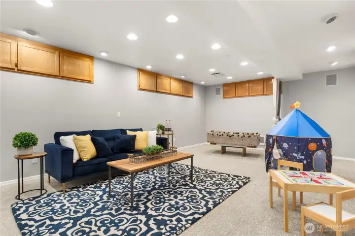 Large Bonus living space in basement