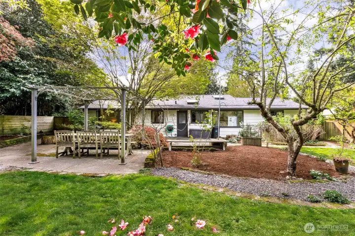 Back Yard features Patio and Garden Shed