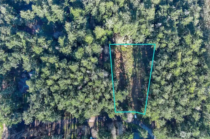 Top-down aerial view outlines the .48-acre vacant lot, showing its usable layout, natural clearing, and private wooded surroundings in Cape San Juan.