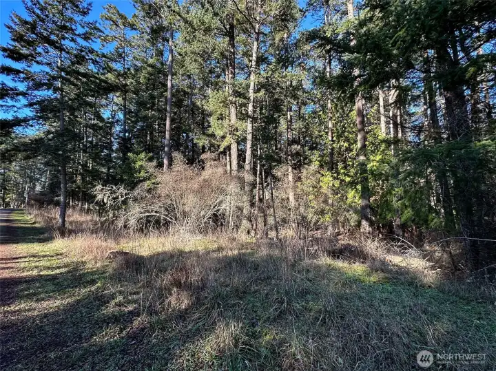 A level, partially cleared .48-acre lot provides flexibility for building, landscaping, and designing your ideal island lifestyle.