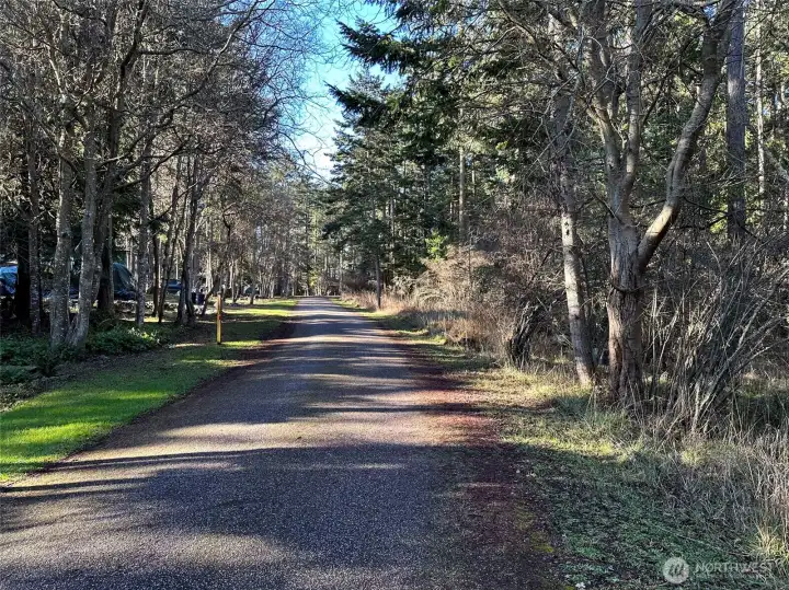 Mature evergreens, native vegetation, and a private wooded feel make this vacant San Juan Island lot a wonderful canvas for your future home.