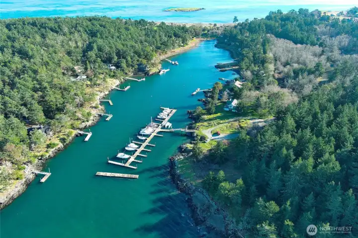 Aerial perspective showcases the Cape San Juan marina, forested shoreline, and peaceful waterfront community surrounding this buildable island lot.