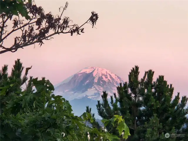 Mt. Rainier framed perfectly from Living Room