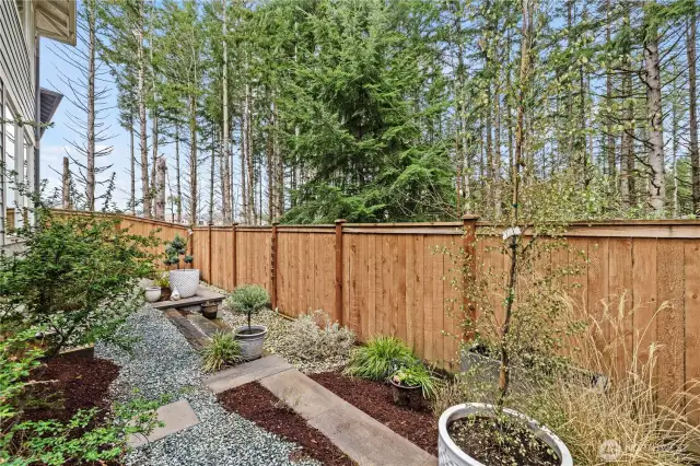 Upgraded Backyard