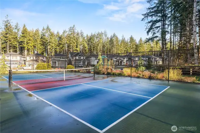 Pickleball Courts