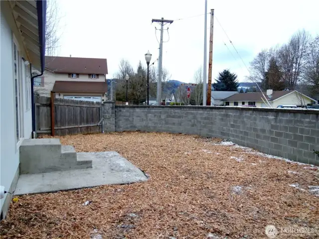Back Yard