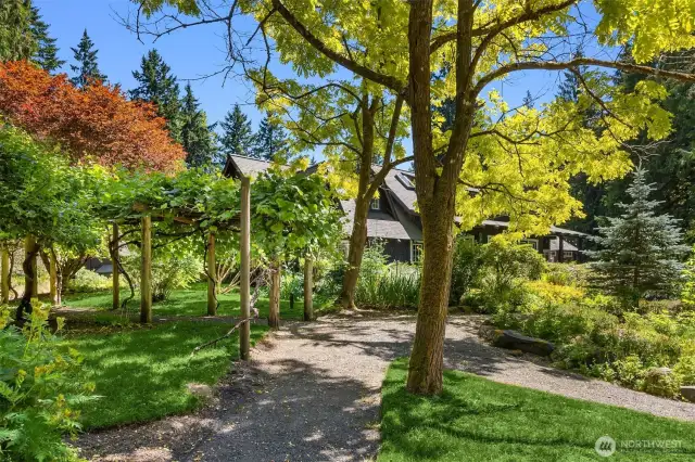 The thriving grapevines grace a picturesque arbor, forming a magical avenue between the giant windchimes and a stunning pair of black locust trees.