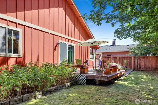 Easy to maintain, but big in quality, including raspberries!