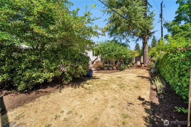Great level lawn area in the backyard.