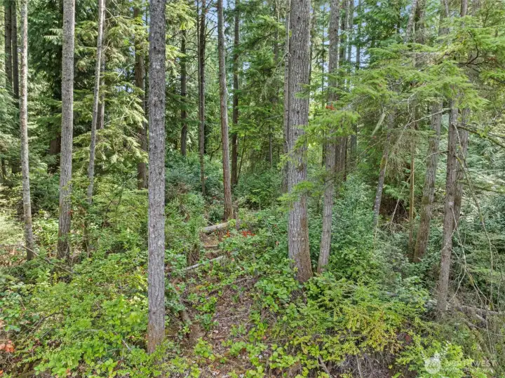 Property is tree lined providing privacy.