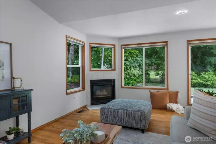 GAS FIREPLACE