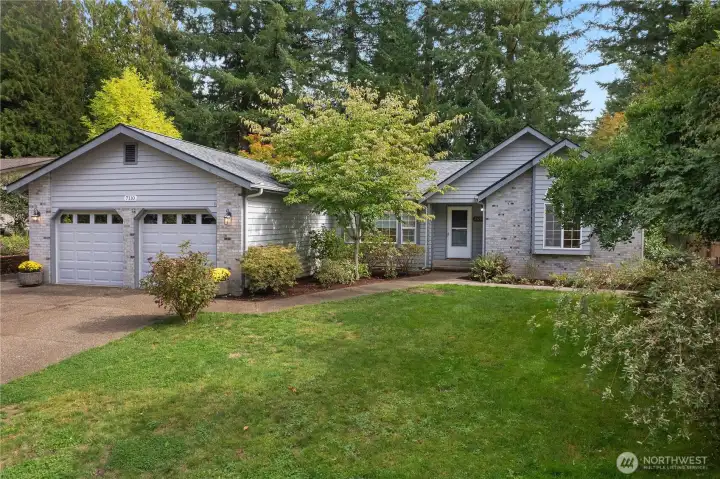 LUSH GREEN FRONT YARD!