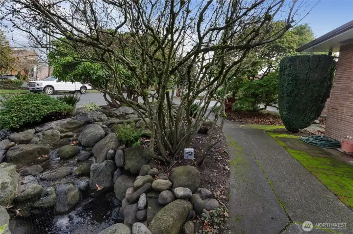 Waterfall outside front entry door.