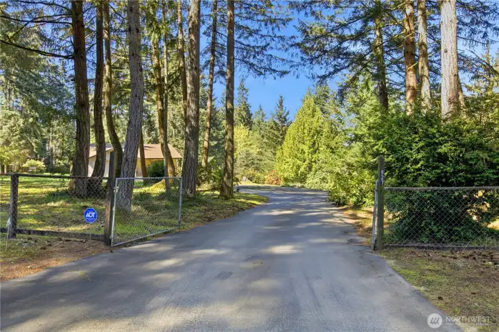 Meandering driveway entry