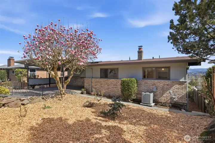 Magnolia in bloom and plenty of space to garden or relax in the front