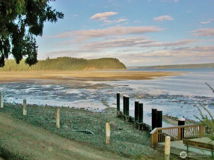 Oyster Beds Oyster Beds