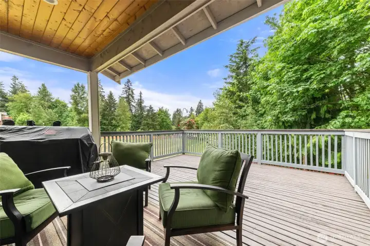 Deck in Back