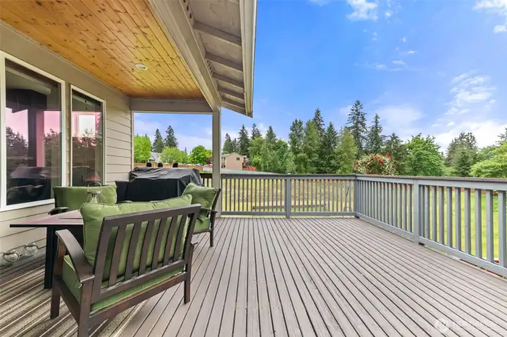 Deck in Back