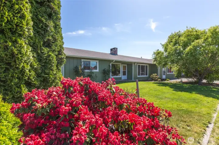 Beautiful flowering shrubs throughout property