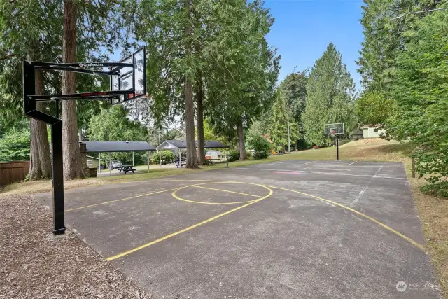 Basketball court and covered areas for picnics